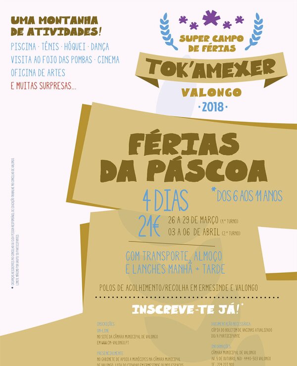 Cartaz do campo de férias Tok'amexer em Valongo, com atividades e preços.