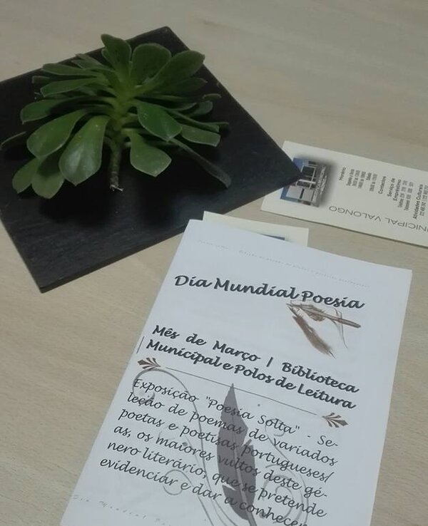 Folheto sobre o Dia Mundial da Poesia, com uma planta ao lado.