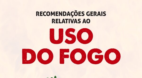 Cartaz com recomendações sobre o uso do fogo, destacando árvores e chamas.