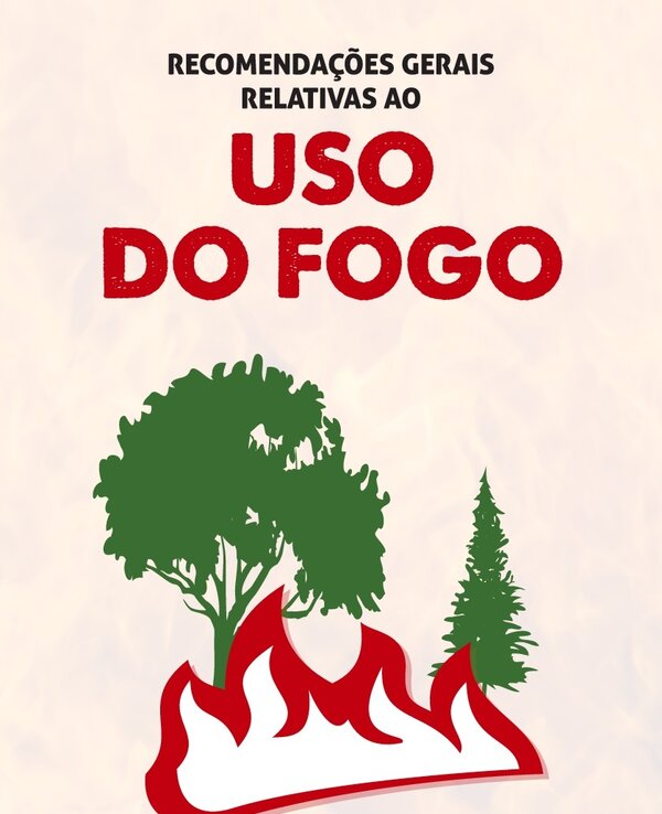 Cartaz com recomendações sobre o uso do fogo, destacando árvores e chamas.