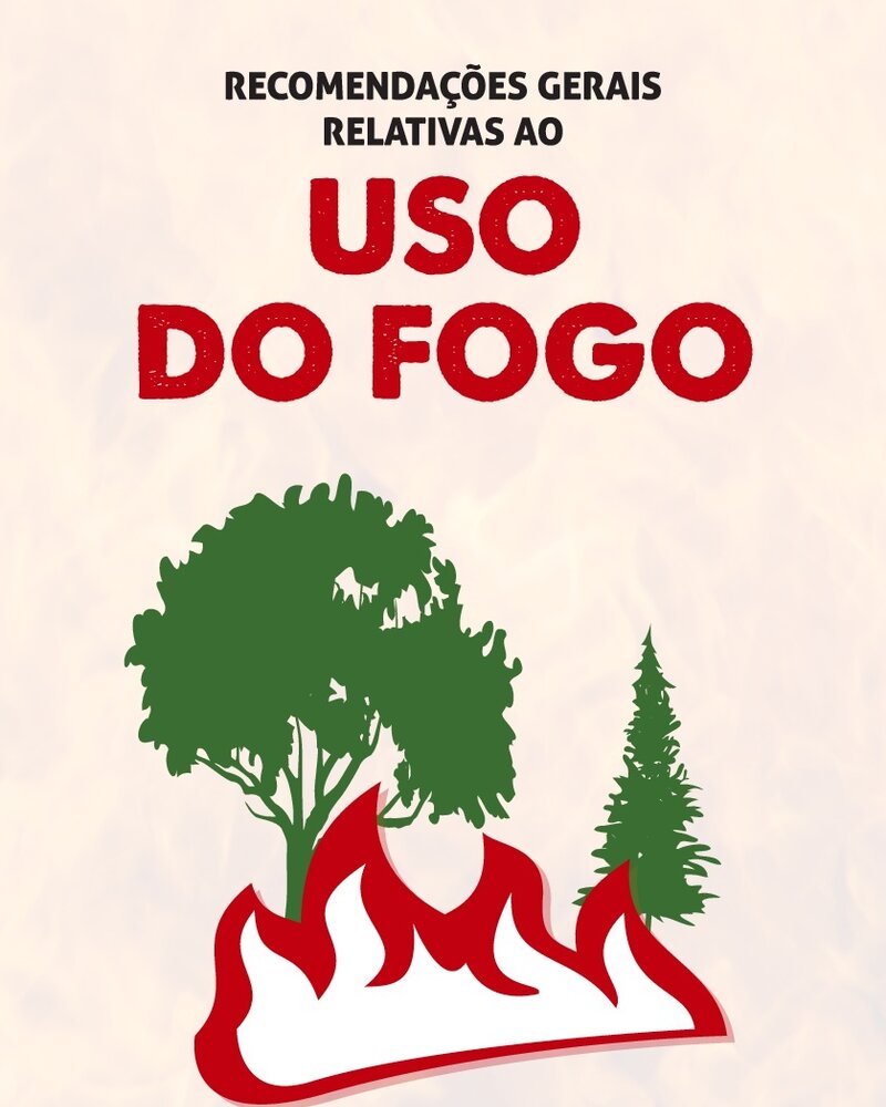 Cartaz com recomendações sobre o uso do fogo, destacando árvores e chamas.