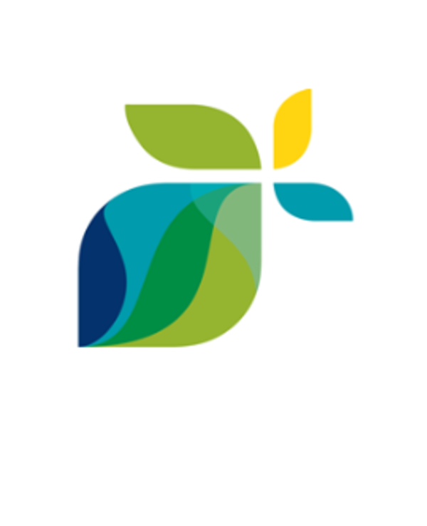 Logotipo estilizado com folhas em várias tonalidades de verde e azul.