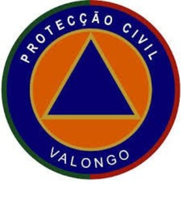 Emblema da Protecção Civil de Valongo com triângulo azul e fundo laranja.