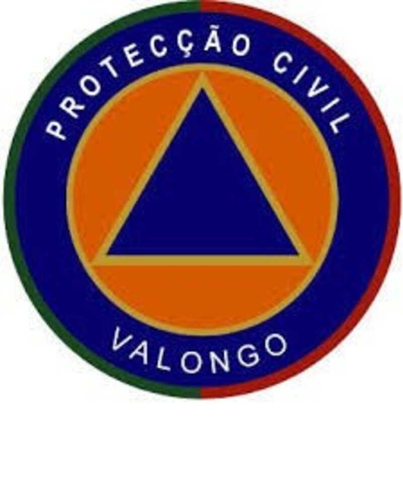 Emblema da Protecção Civil de Valongo com triângulo azul e fundo laranja.