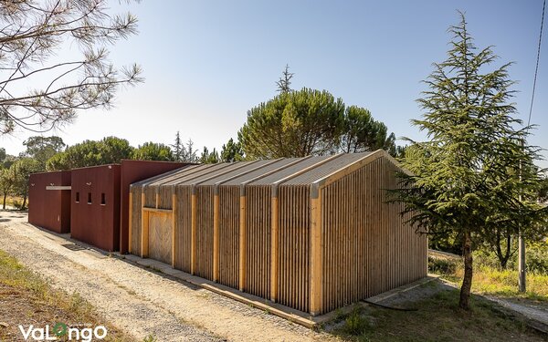 450407444_876084117889882_4536072109860962278_n_1_2500_2500