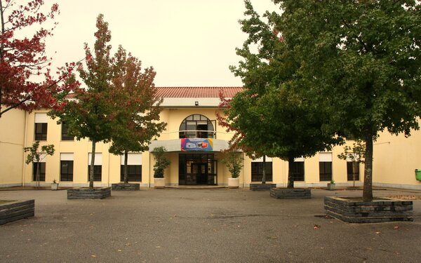 agrupamento_de_escolas_de_campo___escola_basica_e_secundaria_de_campo