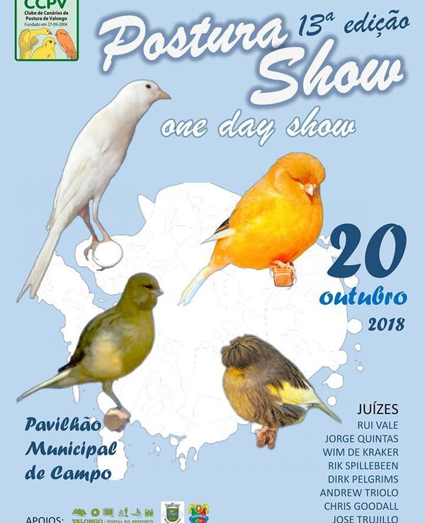 Canarios postura 2018 1 600 738