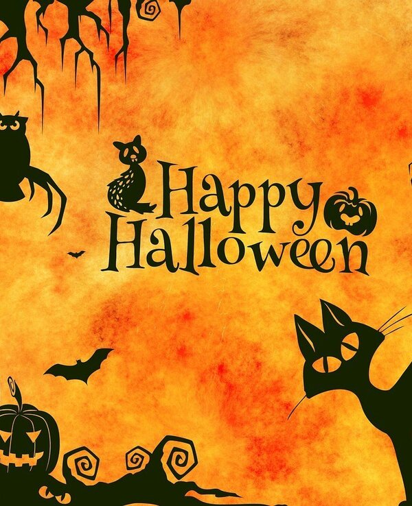 Halloween 959006 1280 1 600 738