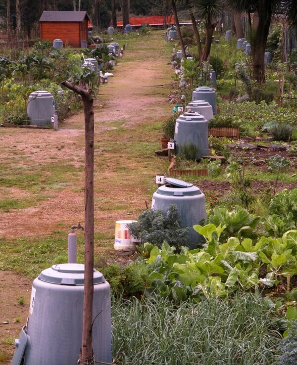 Abertas inscricoes para horta biologica da ponte da presa 4093 xl 1 600 738