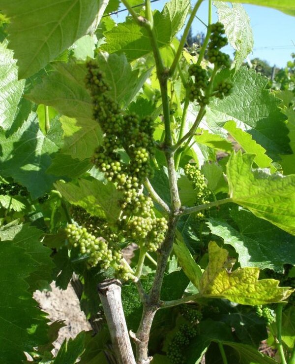 Circular 9 2018 1 600 738