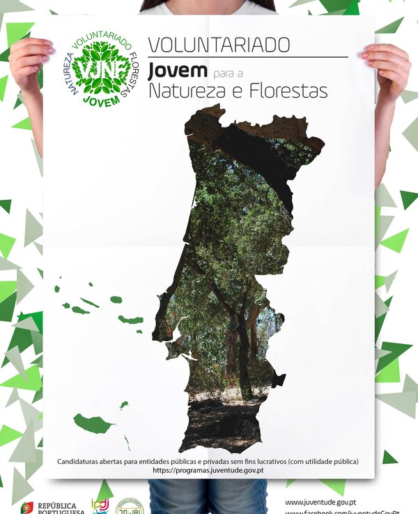 Vjnaturezaflorestasll 01 1 600 738