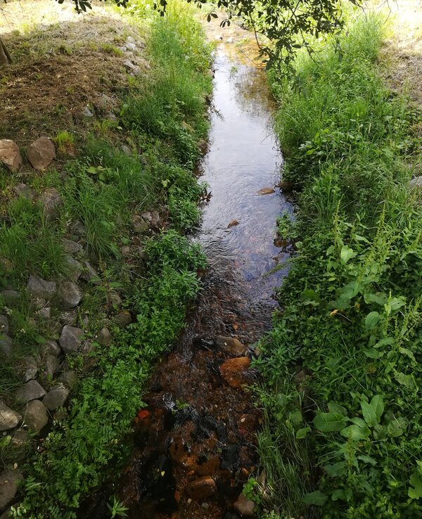 Foto caminhada   rio 1 600 738