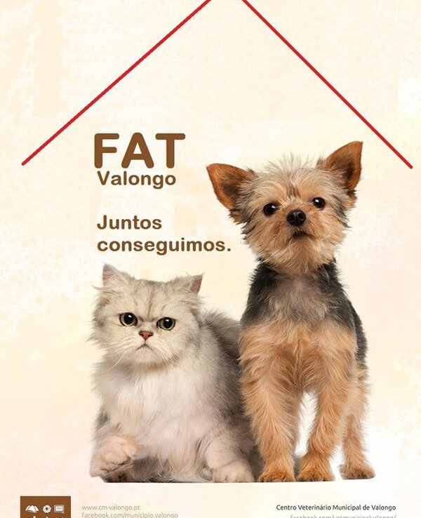 37253637 1790721887630334 1064568443870642176 n 1 600 738