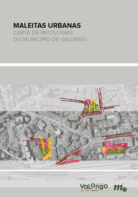 Maleitas Urbanas - Carta de Patologias do Município de Valongo