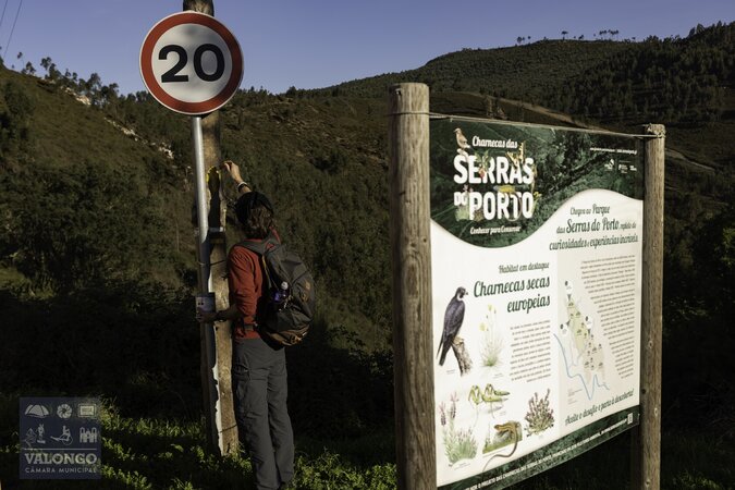 Caminho de Santiago sinalizado até ao limite do concelho