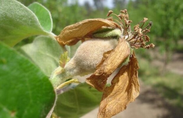 Avisos Agrícolas - Circular 05-2018