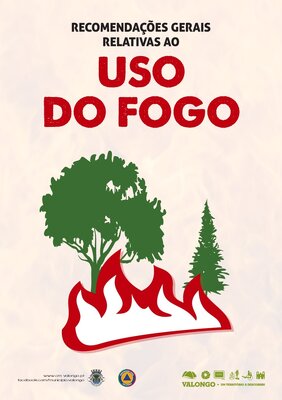 Queimas e queimadas - recomendações preventivas para a salvaguarda da segurança de pessoas e bens